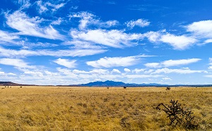 View from road near Santa Fe NM